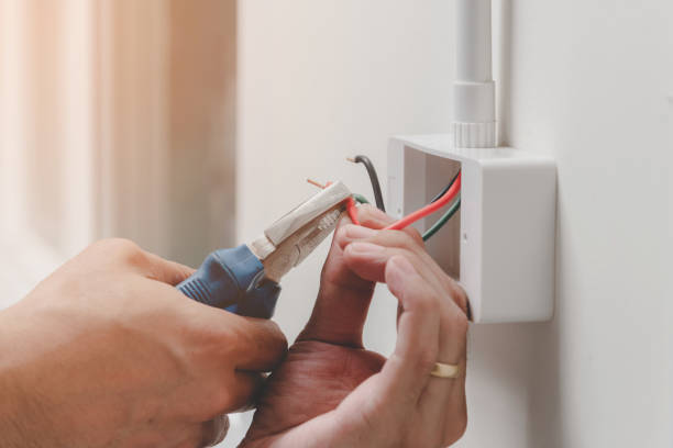 Best Electrical Panel Upgrades  in Robinson, IL